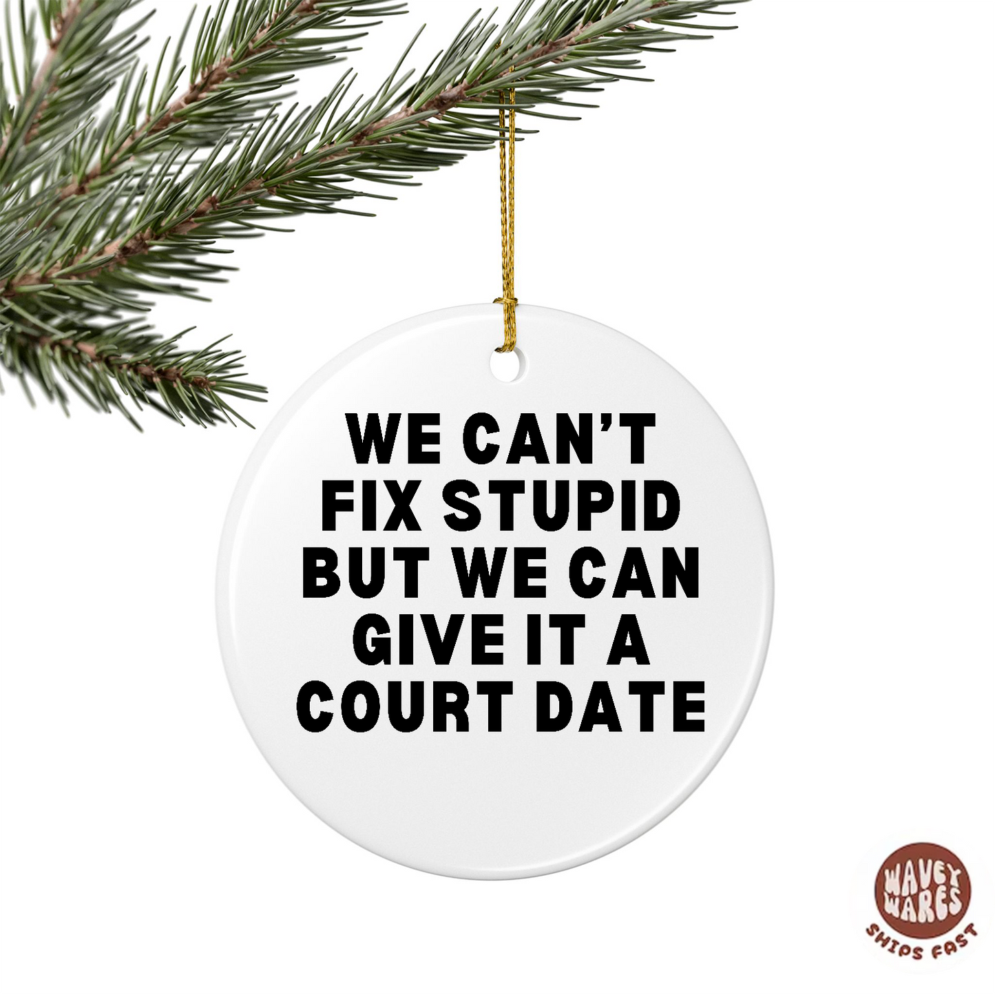 We Can't Fix Stupid But We Can Give It A Court Date Funny Lawyer Ornament