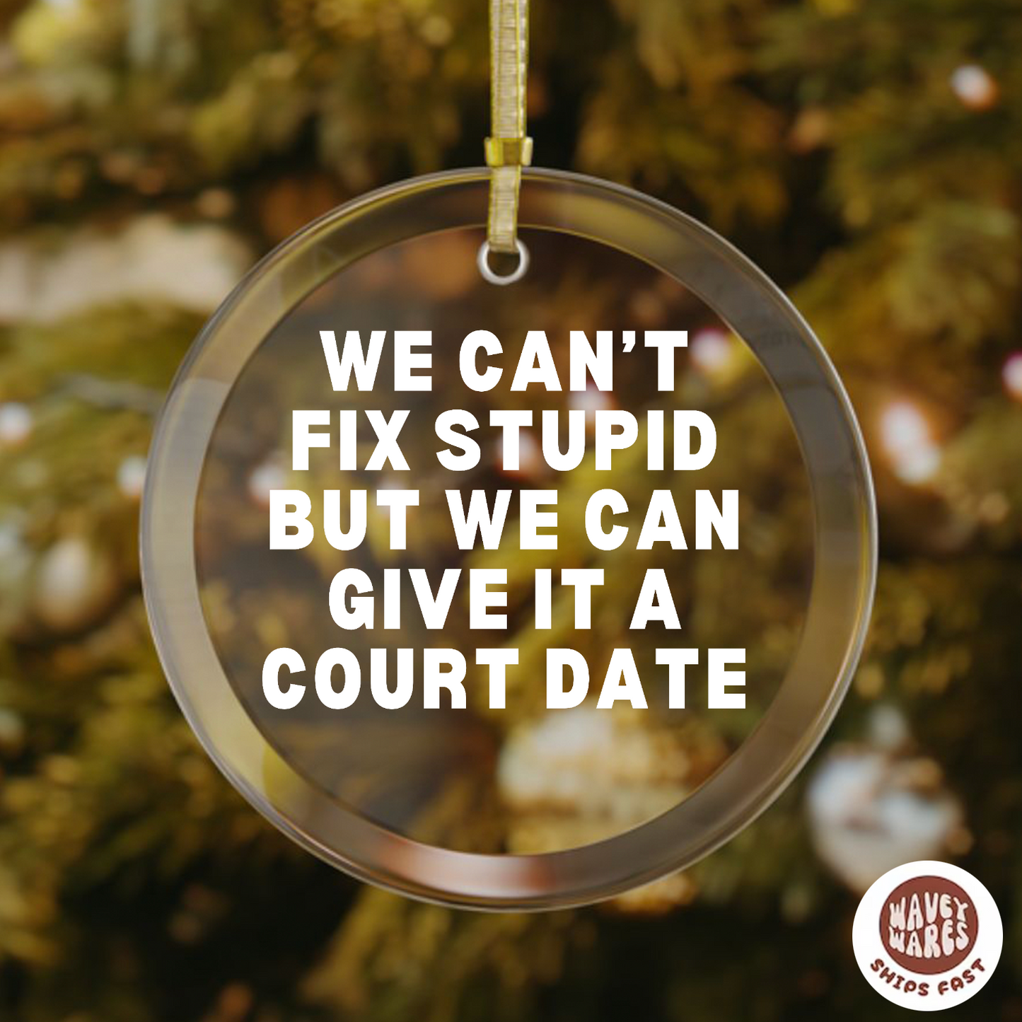 We Can't Fix Stupid But We Can Give It A Court Date Funny Lawyer Ornament