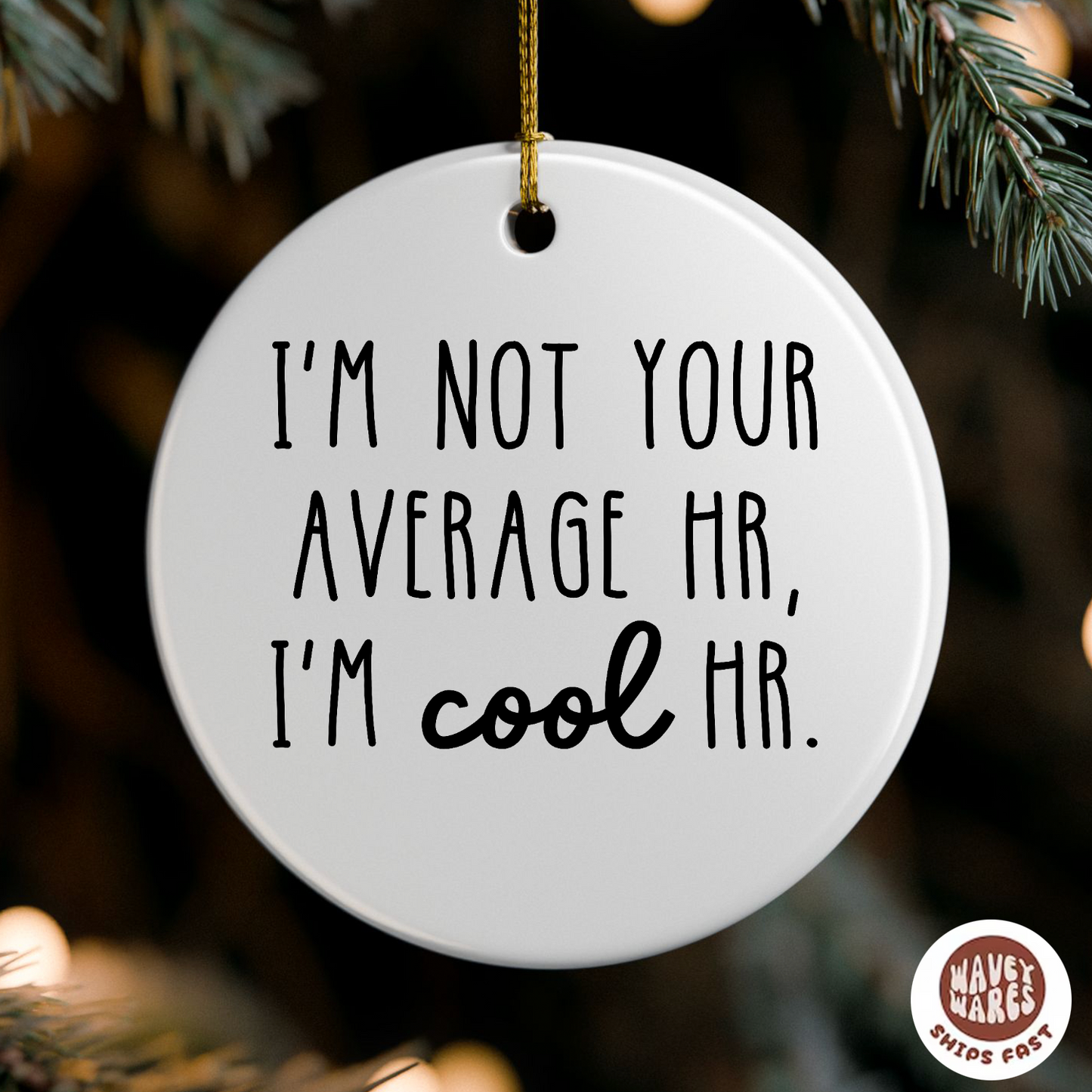 I'm Not Your Average HR I'm Cool HR Funny Ornament