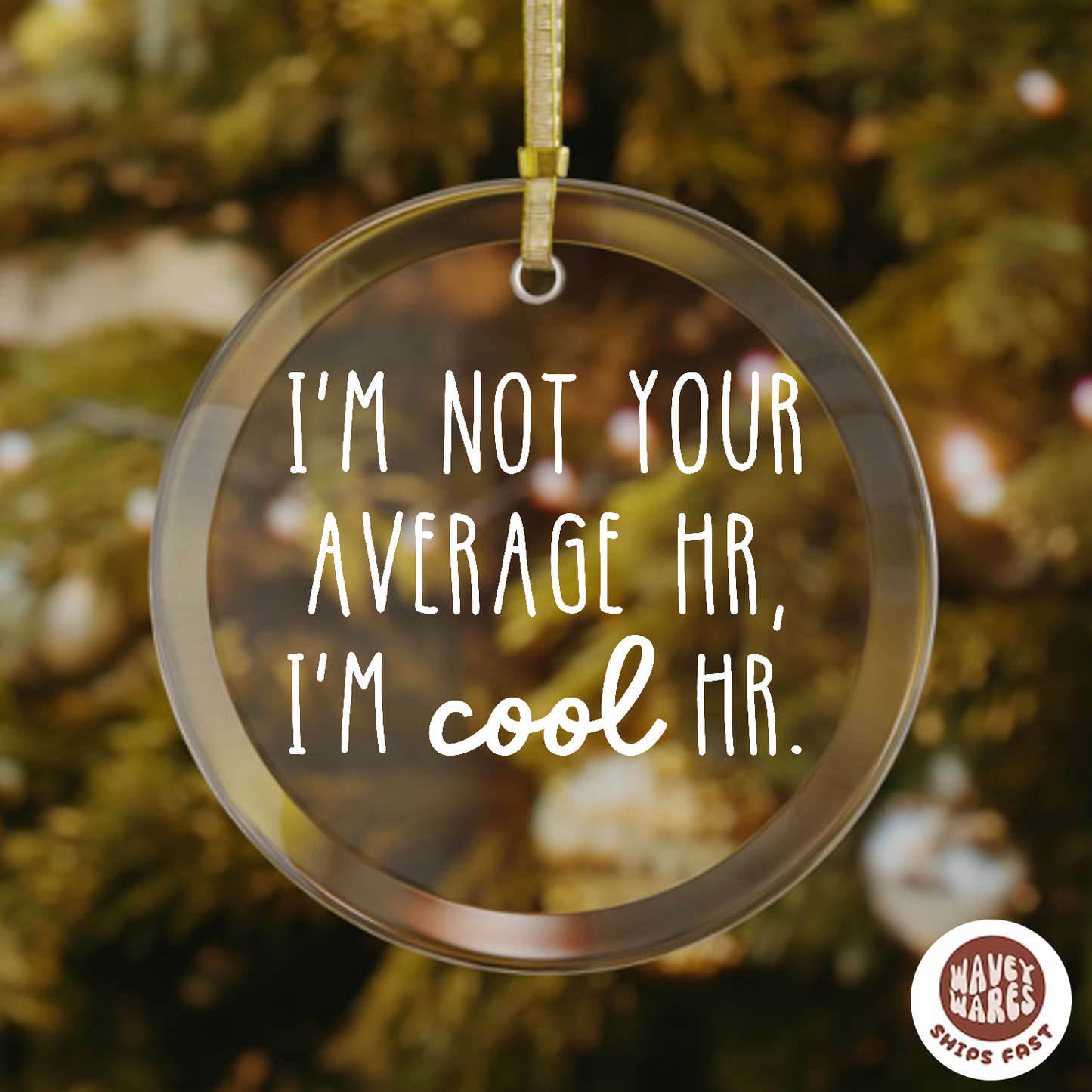 I'm Not Your Average HR I'm Cool HR Funny Ornament