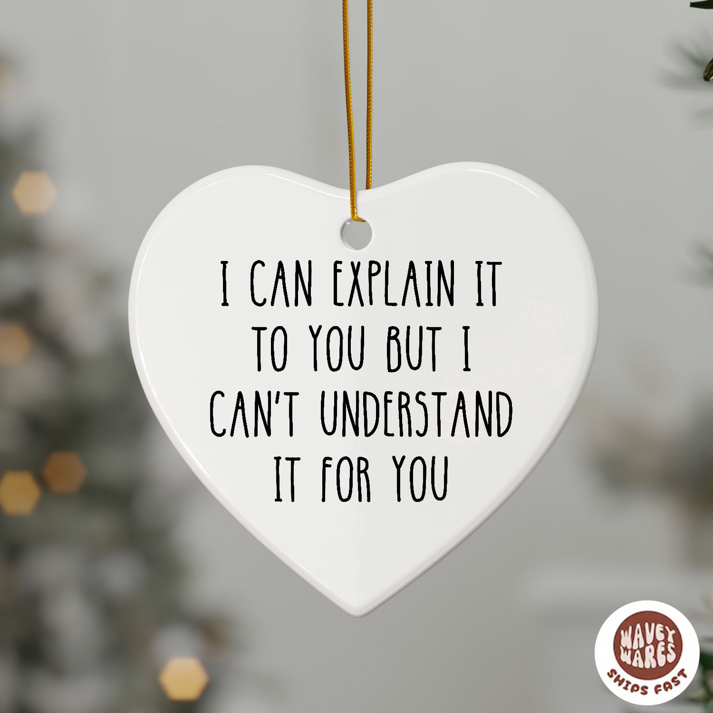 I Can Explain But I Can't Understand It For You Ornament
