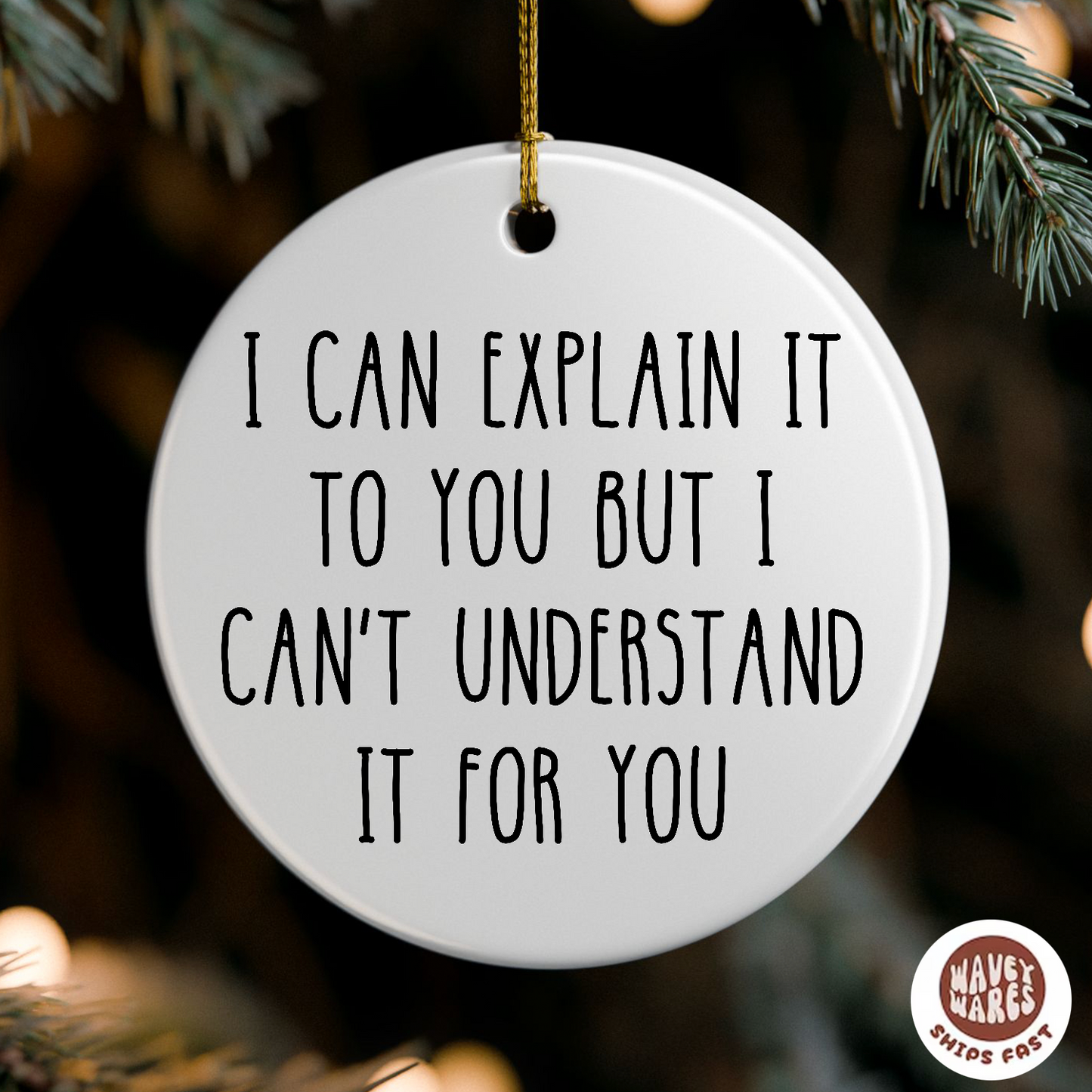 I Can Explain But I Can't Understand It For You Ornament