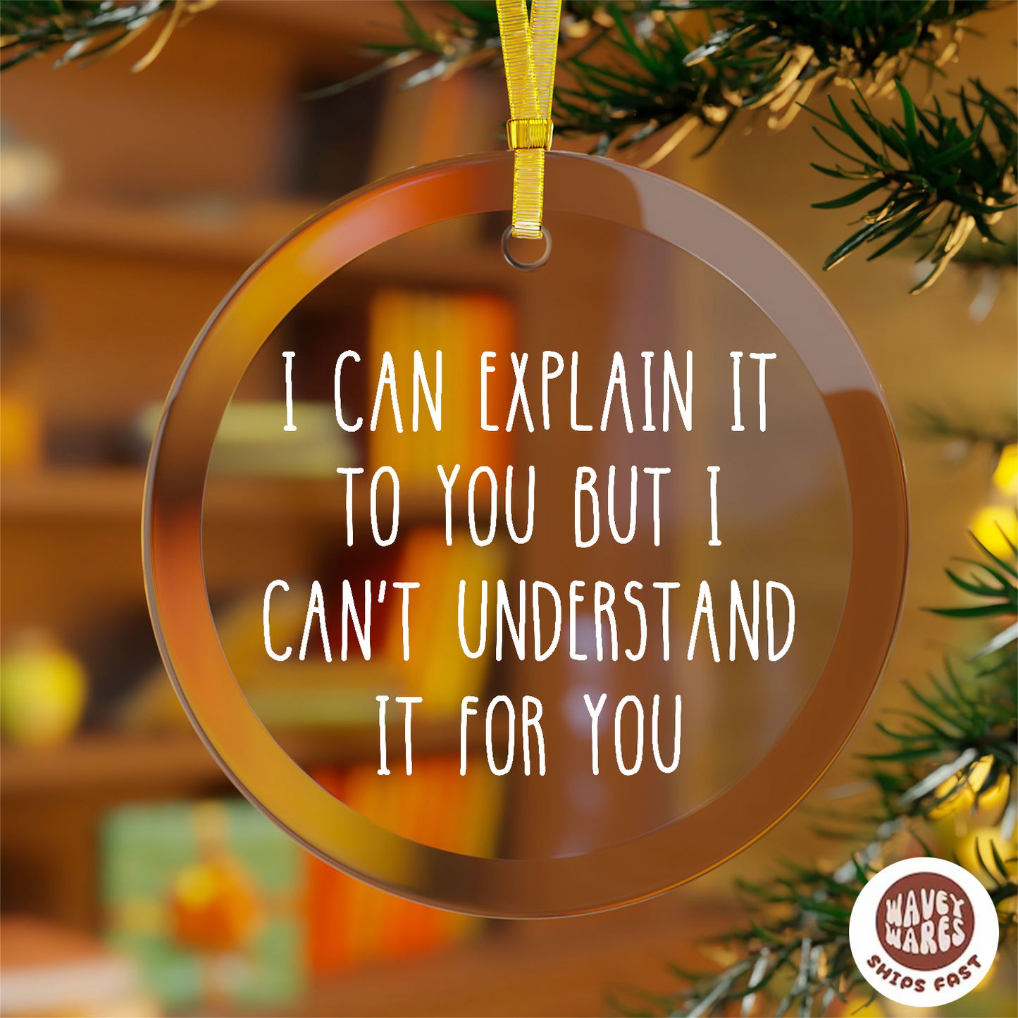 I Can Explain But I Can't Understand It For You Ornament