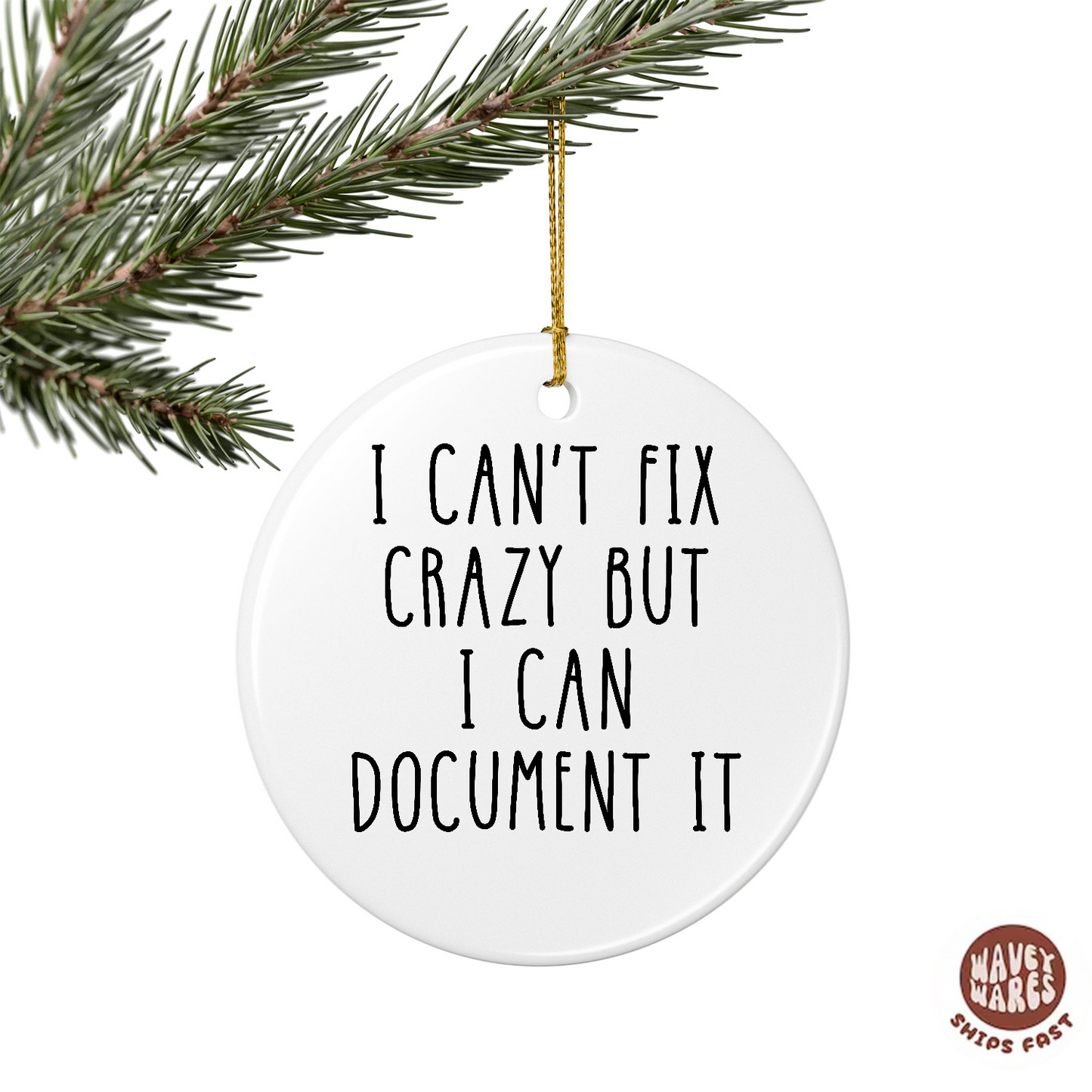 I Can't Fix Crazy But I Can Document It Funny HR Ornament