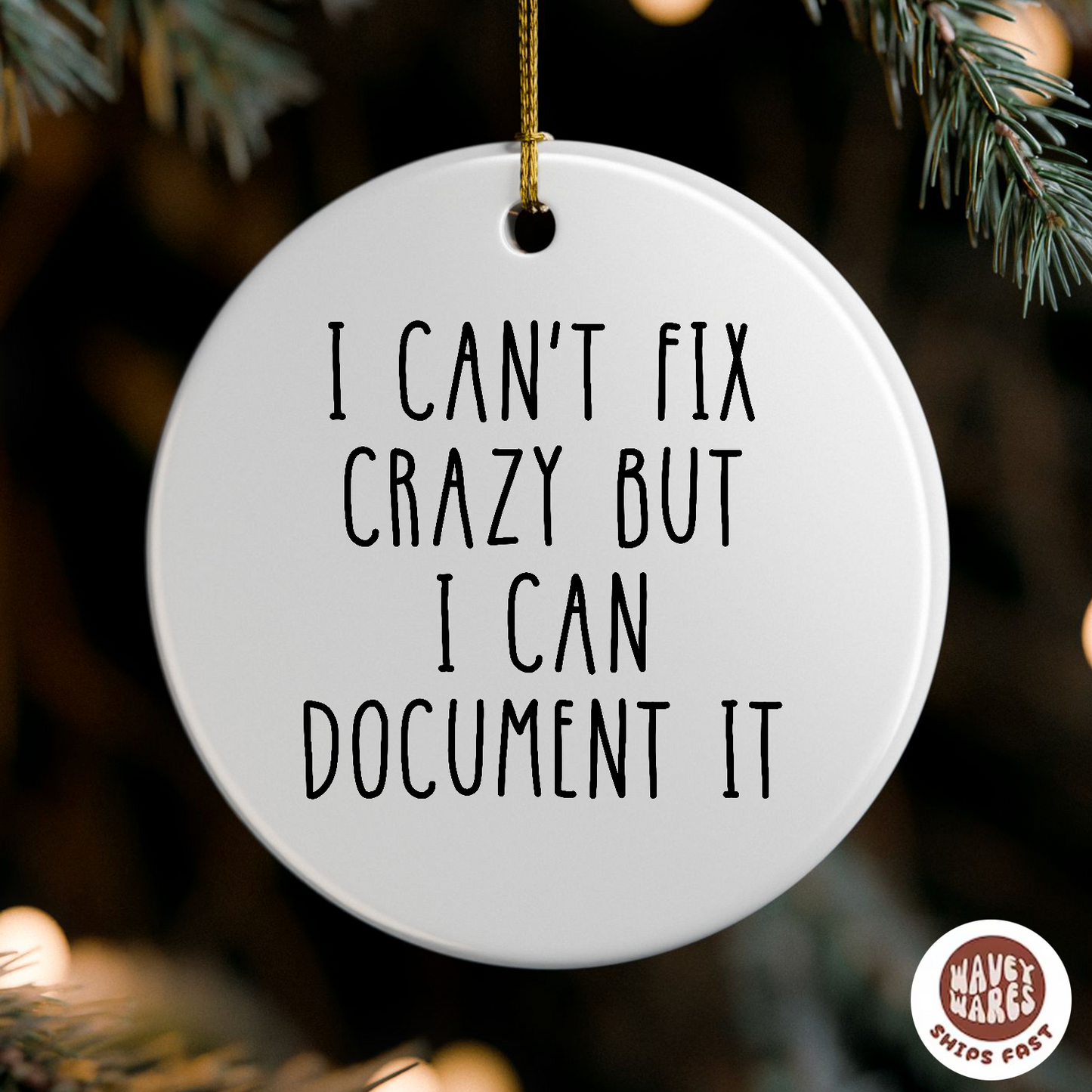 I Can't Fix Crazy But I Can Document It Funny HR Ornament