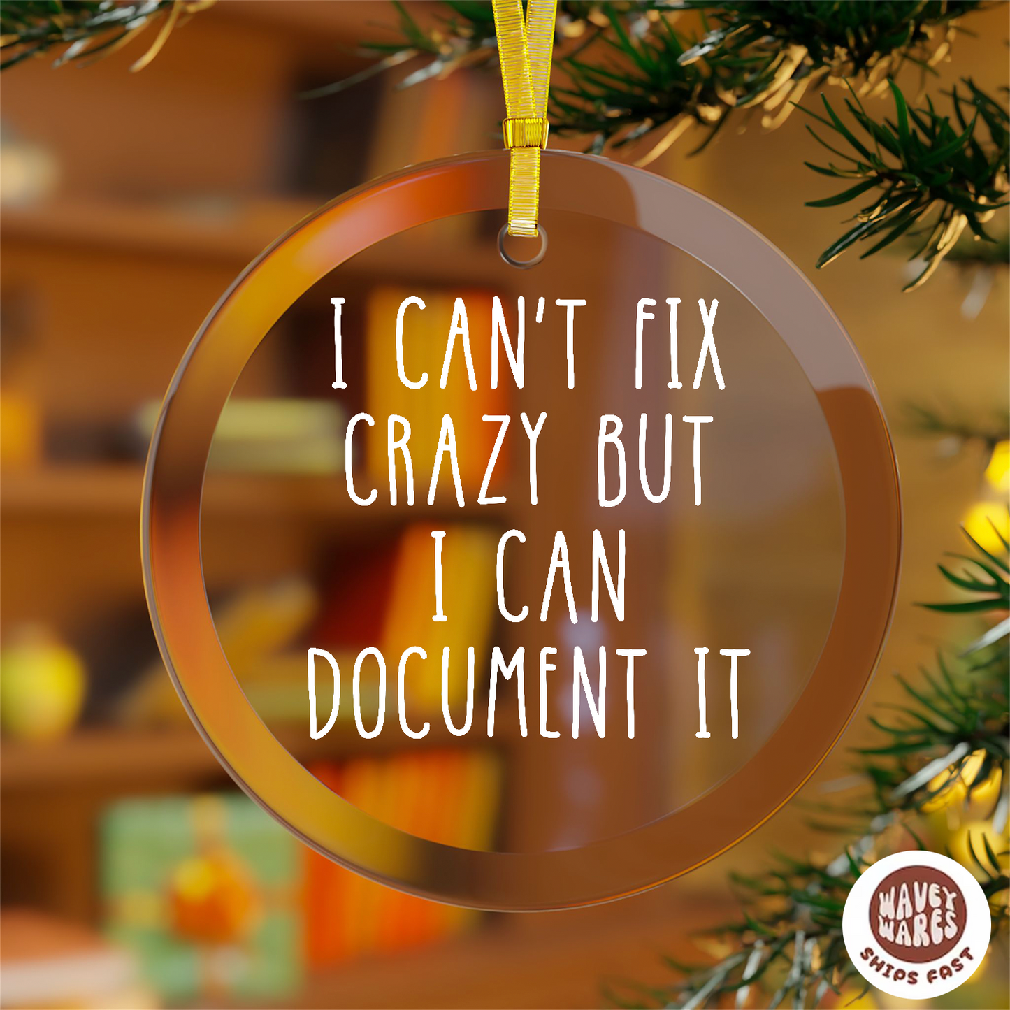 I Can't Fix Crazy But I Can Document It Funny HR Ornament