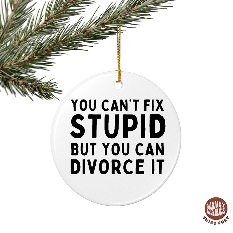 Can't Fix Stupid But You Can Divorce It Funny Ornament