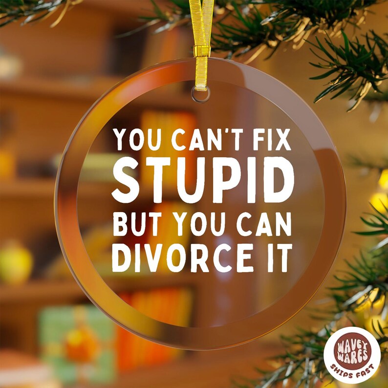 Can't Fix Stupid But You Can Divorce It Funny Ornament