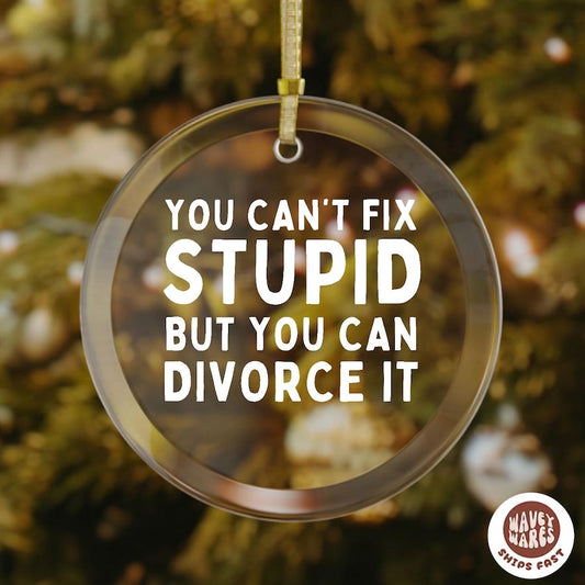 Can't Fix Stupid But You Can Divorce It Funny Ornament